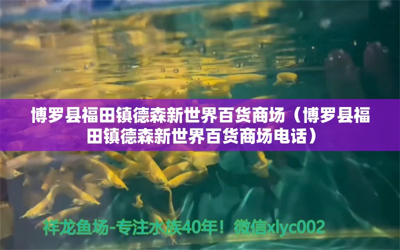 博罗县福田镇德森新世界百货商场（博罗县福田镇德森新世界百货商场电话）