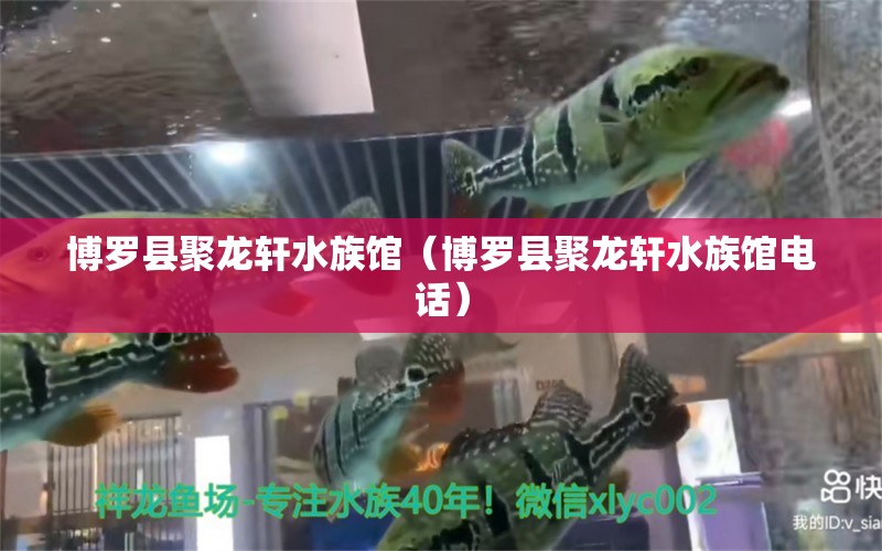 博罗县聚龙轩水族馆（博罗县聚龙轩水族馆电话） 全国水族馆企业名录