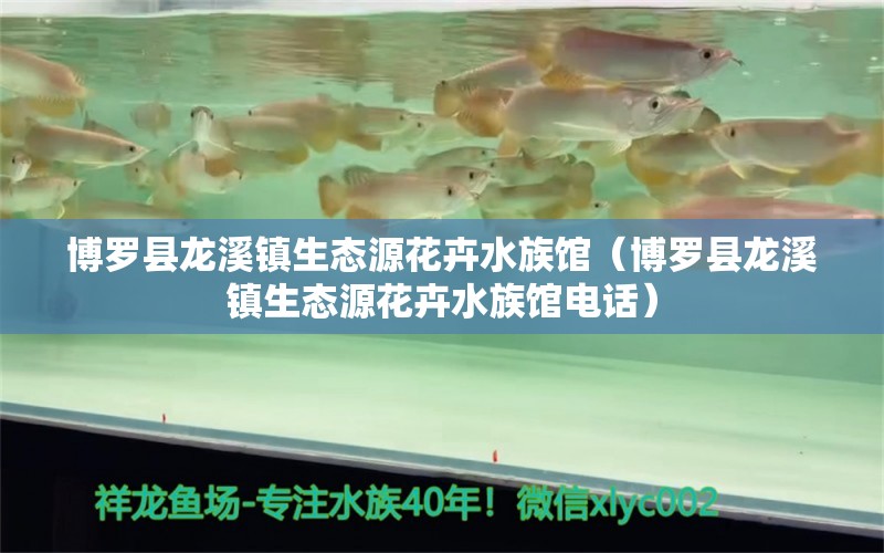 博罗县龙溪镇生态源花卉水族馆（博罗县龙溪镇生态源花卉水族馆电话） 全国水族馆企业名录