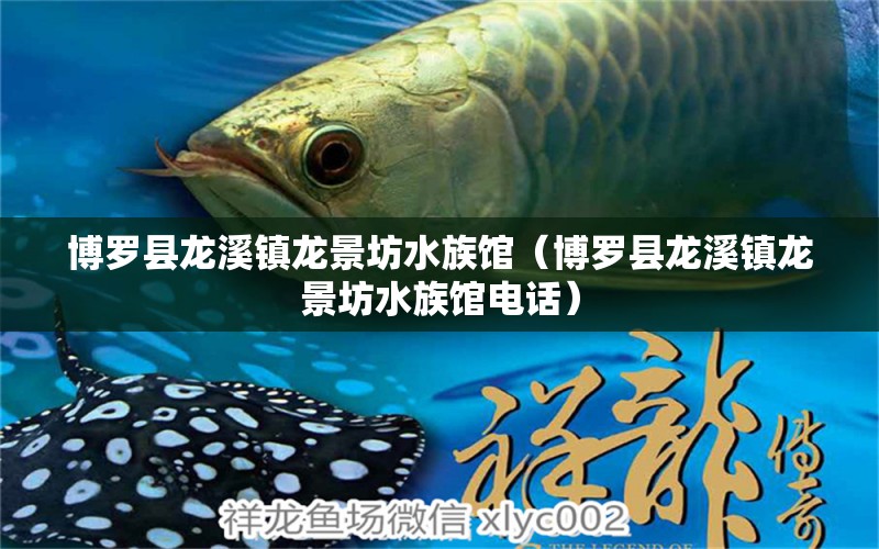 博罗县龙溪镇龙景坊水族馆（博罗县龙溪镇龙景坊水族馆电话）