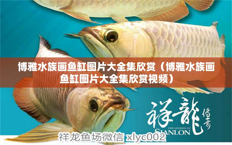 博雅水族画鱼缸图片大全集欣赏（博雅水族画鱼缸图片大全集欣赏视频） 观赏鱼市场（混养鱼）