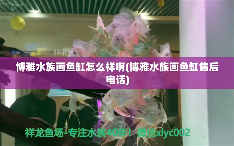 博雅水族画鱼缸怎么样啊(博雅水族画鱼缸售后电话) 龙鱼芯片扫码器