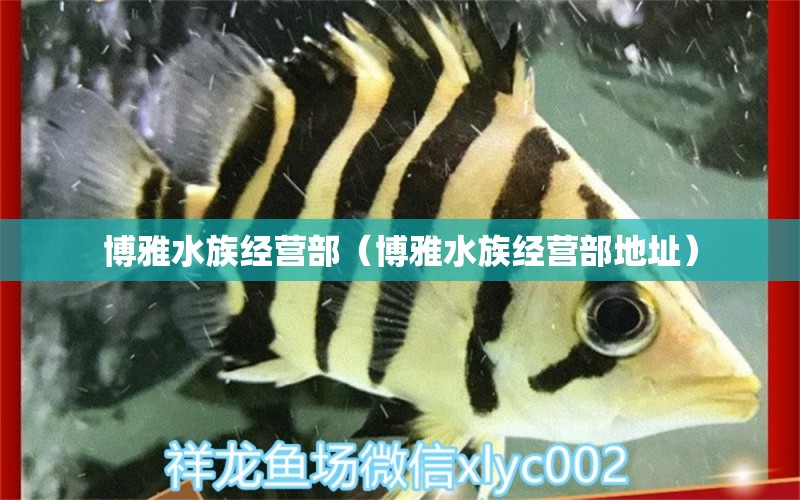 博雅水族经营部（博雅水族经营部地址）