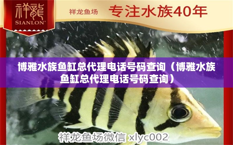 博雅水族鱼缸总代理电话号码查询（博雅水族鱼缸总代理电话号码查询）