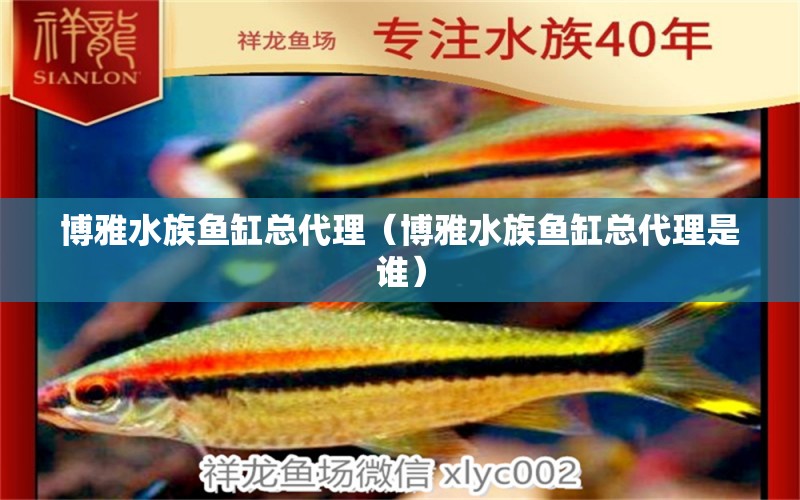 博雅水族鱼缸总代理（博雅水族鱼缸总代理是谁） 其他品牌鱼缸