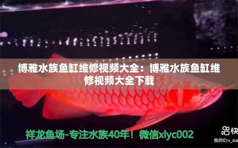 博雅水族鱼缸维修视频大全：博雅水族鱼缸维修视频大全下载