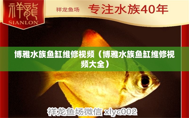 博雅水族鱼缸维修视频（博雅水族鱼缸维修视频大全）