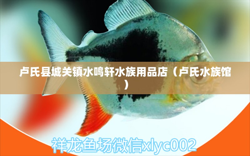 卢氏县城关镇水鸣轩水族用品店（卢氏水族馆） 水族用品