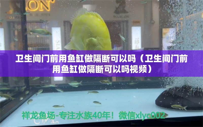 卫生间门前用鱼缸做隔断可以吗（卫生间门前用鱼缸做隔断可以吗视频） 观赏鱼