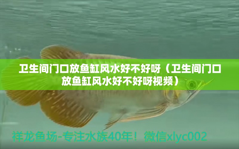 卫生间门口放鱼缸风水好不好呀（卫生间门口放鱼缸风水好不好呀视频） 鱼缸风水