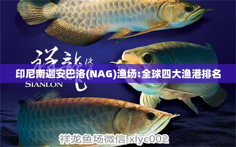 印尼南迦安巴洛(NAG)渔场:全球四大渔港排名 水族品牌