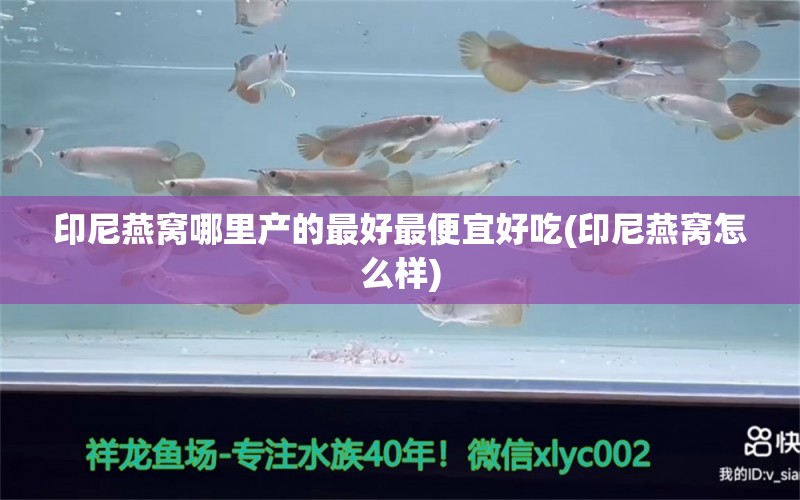 印尼燕窝哪里产的最好最便宜好吃(印尼燕窝怎么样) 马来西亚燕窝 第1张