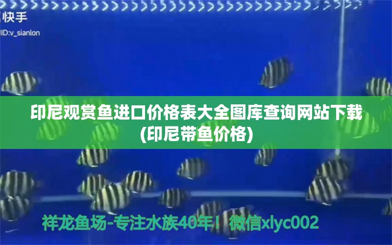 印尼观赏鱼进口价格表大全图库查询网站下载(印尼带鱼价格) 观赏鱼进出口 第1张