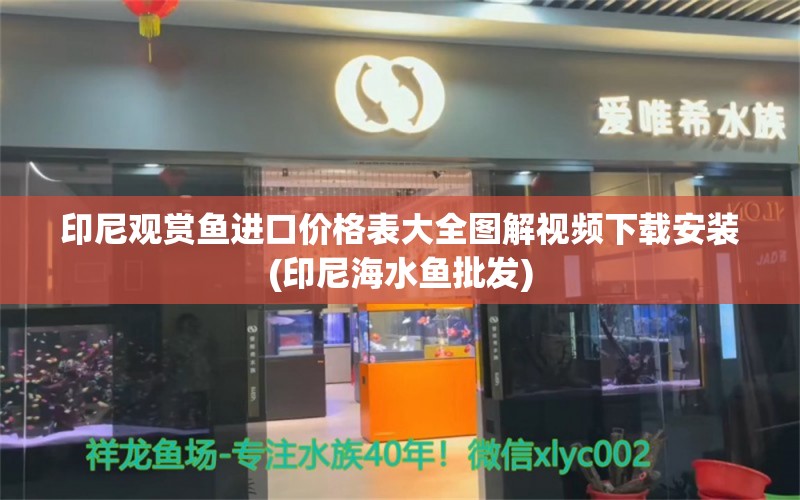 印尼观赏鱼进口价格表大全图解视频下载安装(印尼海水鱼批发)