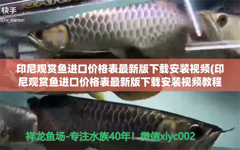 印尼观赏鱼进口价格表最新版下载安装视频(印尼观赏鱼进口价格表最新版下载安装视频教程)