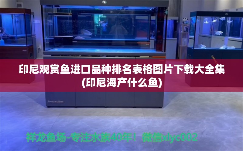 印尼观赏鱼进口品种排名表格图片下载大全集(印尼海产什么鱼)