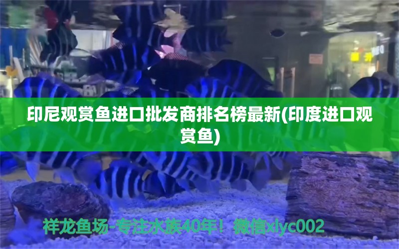 印尼观赏鱼进口批发商排名榜最新(印度进口观赏鱼)