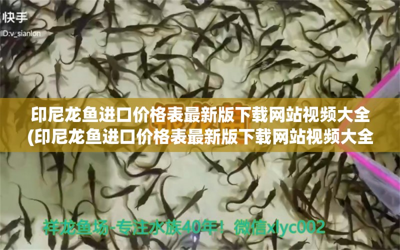 印尼龙鱼进口价格表最新版下载网站视频大全(印尼龙鱼进口价格表最新版下载网站视频大全)