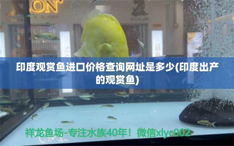 印度观赏鱼进口价格查询网址是多少(印度出产的观赏鱼)