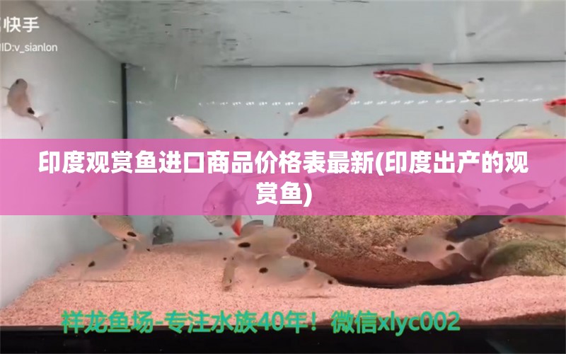 印度观赏鱼进口商品价格表最新(印度出产的观赏鱼)