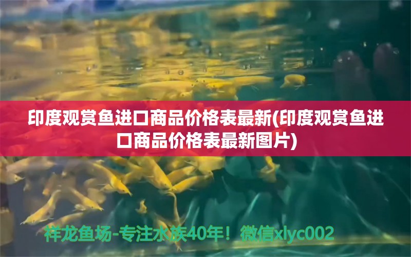 印度观赏鱼进口商品价格表最新(印度观赏鱼进口商品价格表最新图片) 观赏鱼进出口 第1张