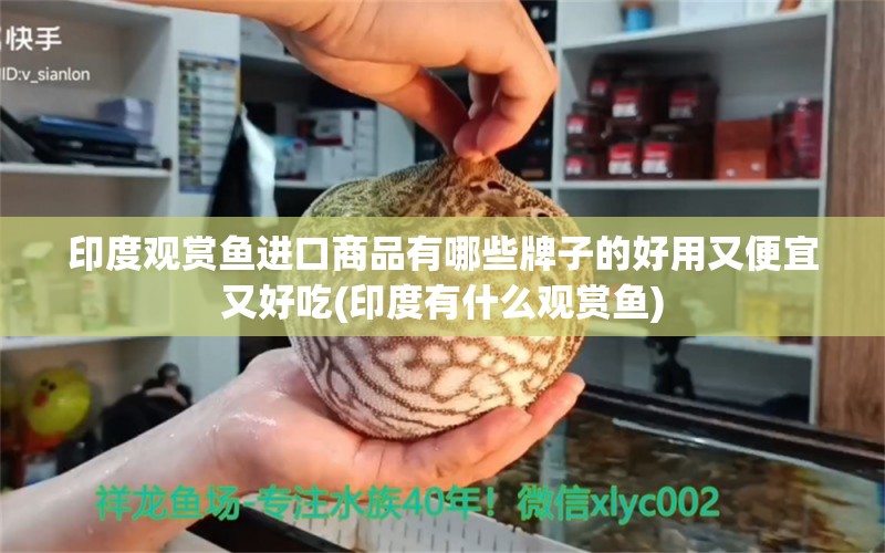 印度观赏鱼进口商品有哪些牌子的好用又便宜又好吃(印度有什么观赏鱼)