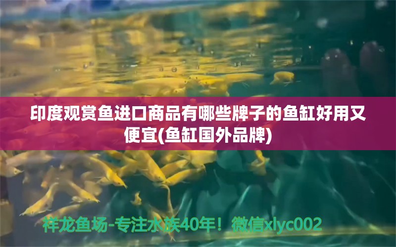 印度观赏鱼进口商品有哪些牌子的鱼缸好用又便宜(鱼缸国外品牌)