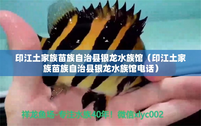 印江土家族苗族自治县银龙水族馆（印江土家族苗族自治县银龙水族馆电话）