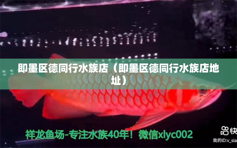 即墨区德同行水族店（即墨区德同行水族店地址） 全国水族馆企业名录