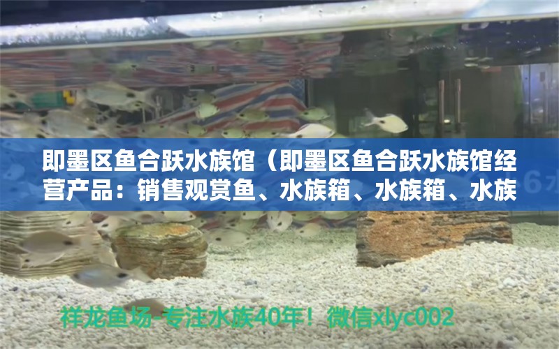 即墨区鱼合跃水族馆（即墨区鱼合跃水族馆经营产品：销售观赏鱼、水族箱、水族箱、水族箱、水族器材、过滤材料） 全国观赏鱼市场 第2张