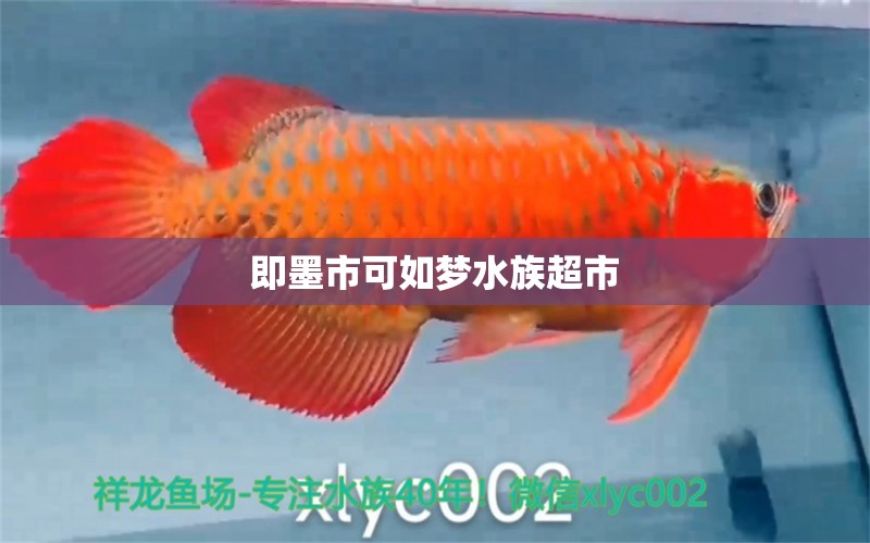 即墨市可如梦水族超市 全国水族馆企业名录