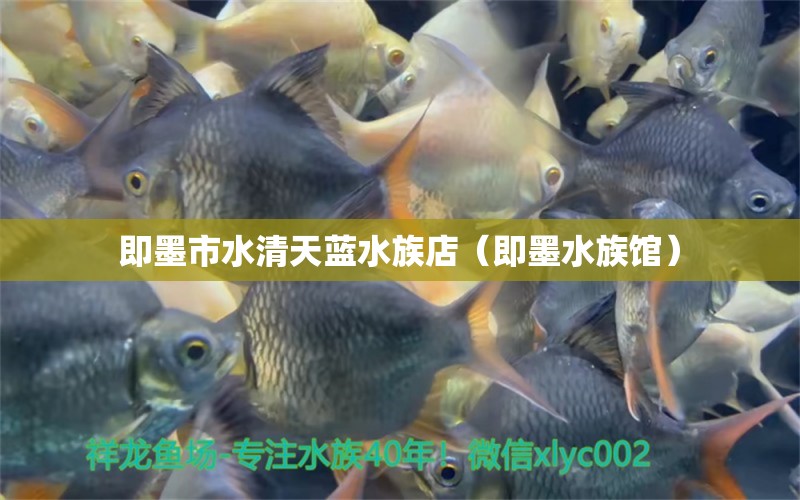 即墨市水清天蓝水族店（即墨水族馆） 全国水族馆企业名录