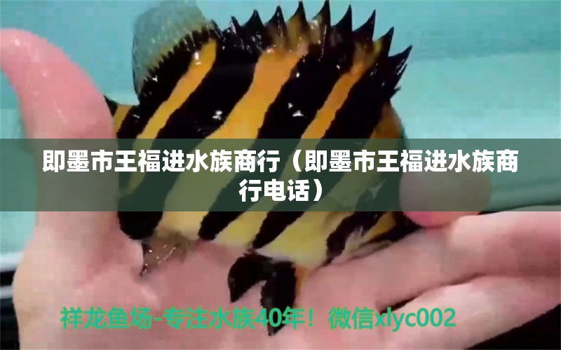 即墨市王福进水族商行（即墨市王福进水族商行电话）