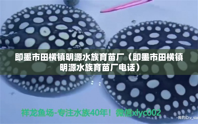 即墨市田横镇明源水族育苗厂（即墨市田横镇明源水族育苗厂电话）