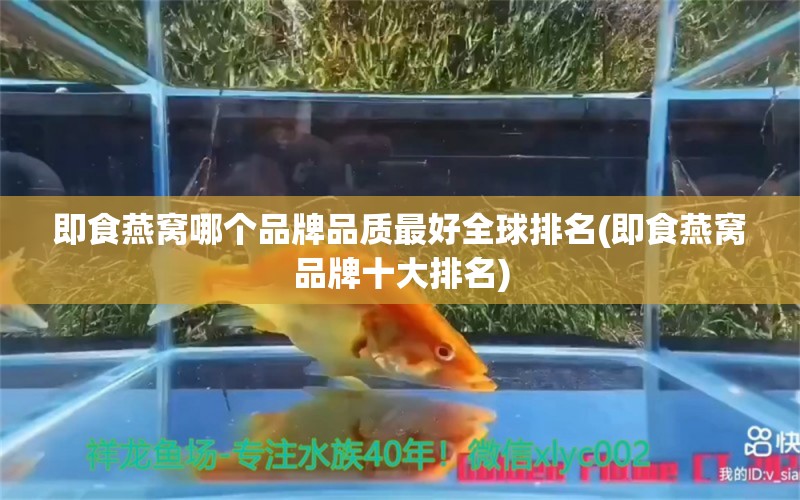 即食燕窝哪个品牌品质最好全球排名(即食燕窝品牌十大排名)