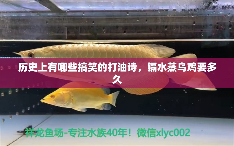 历史上有哪些搞笑的打油诗，镉水蒸乌鸡要多久