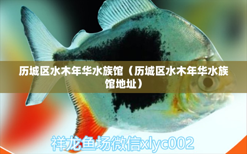 历城区水木年华水族馆（历城区水木年华水族馆地址）