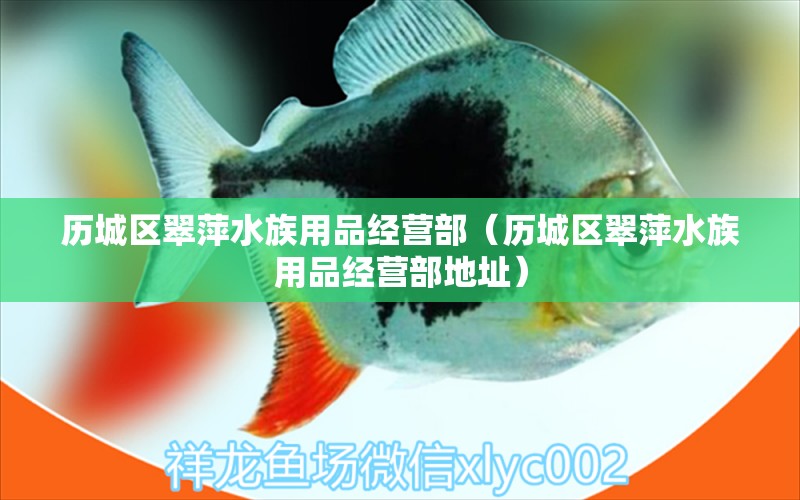 历城区翠萍水族用品经营部（历城区翠萍水族用品经营部地址）