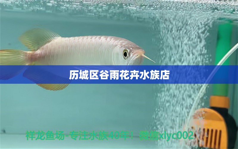 历城区谷雨花卉水族店 全国水族馆企业名录