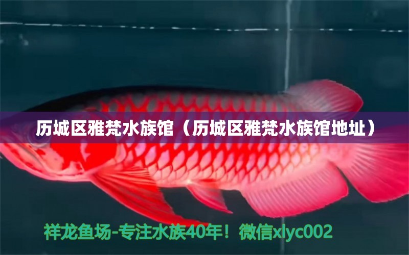 历城区雅梵水族馆（历城区雅梵水族馆地址）