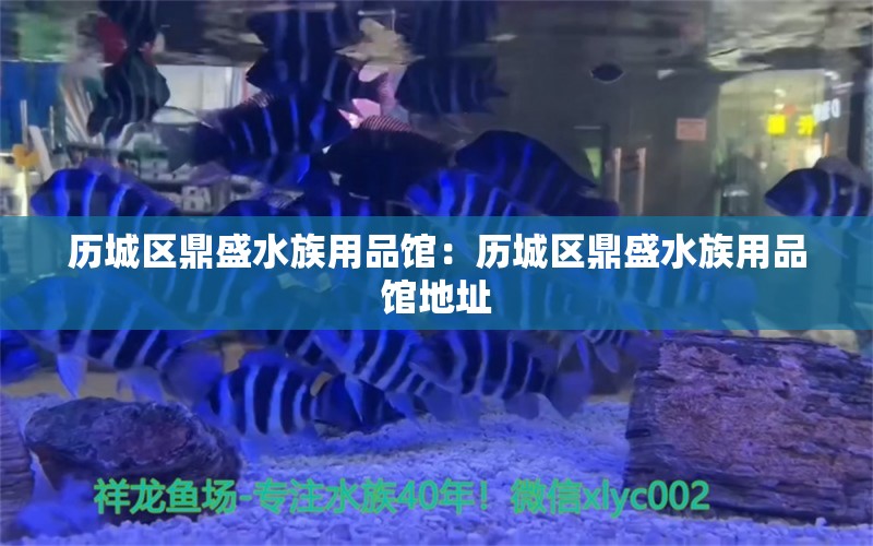 历城区鼎盛水族用品馆：历城区鼎盛水族用品馆地址 水族用品