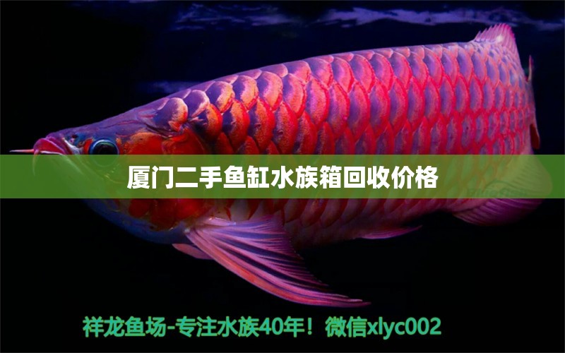 厦门二手鱼缸水族箱回收价格 水族问答 第2张