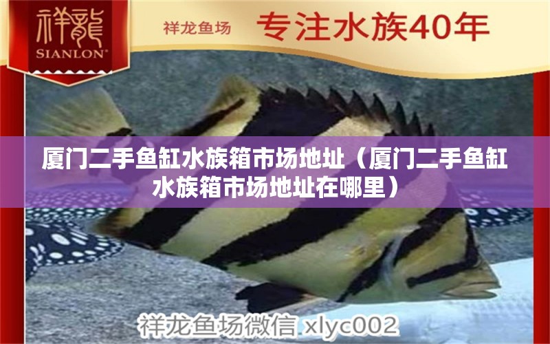 厦门二手鱼缸水族箱市场地址（厦门二手鱼缸水族箱市场地址在哪里）