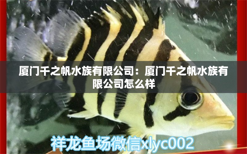 厦门千之帆水族有限公司：厦门千之帆水族有限公司怎么样