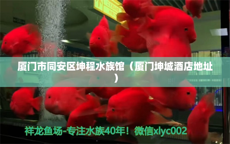 厦门市同安区坤程水族馆（厦门坤城酒店地址） 全国水族馆企业名录