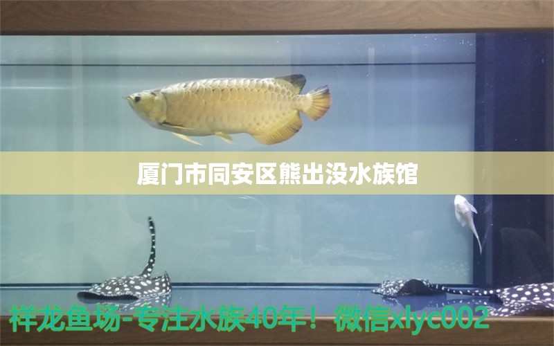 厦门市同安区熊出没水族馆