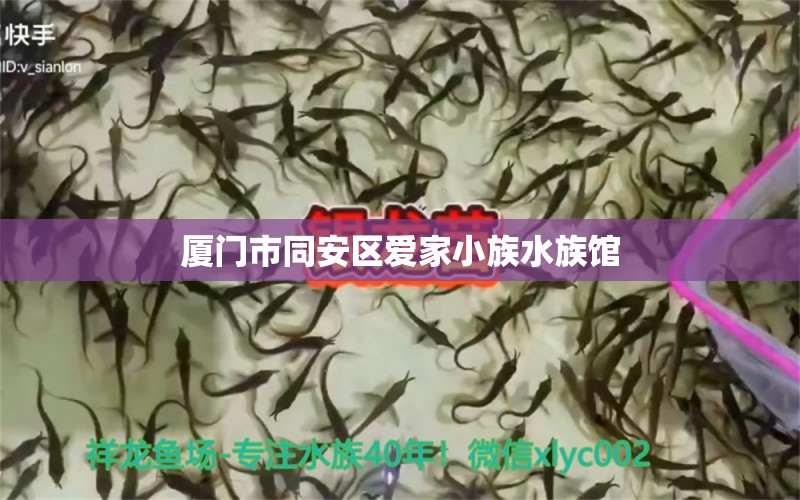 厦门市同安区爱家小族水族馆