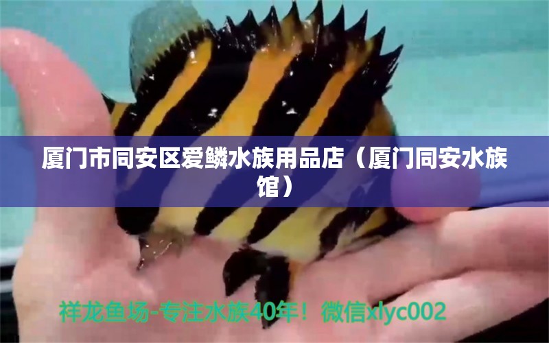 厦门市同安区爱鳞水族用品店（厦门同安水族馆） 水族用品