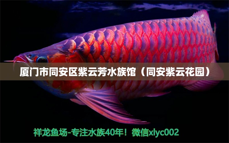 厦门市同安区紫云芳水族馆（同安紫云花园）