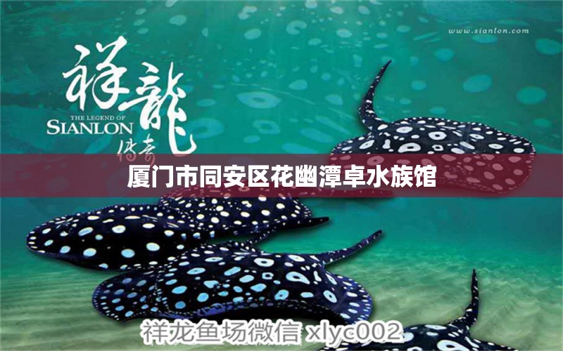 厦门市同安区花幽潭卓水族馆